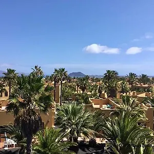 https://papagayo-9bc7b.in-canary-islands.com